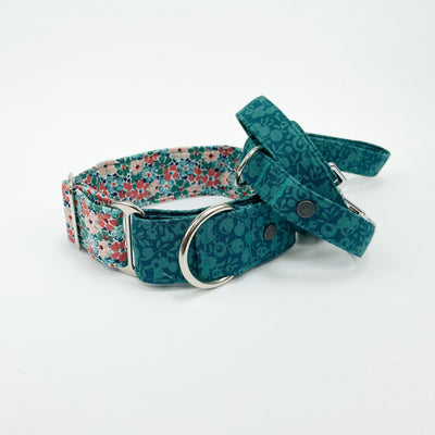 Liberty Autumn emerald martingale collar and lead