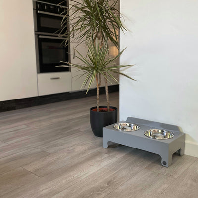 Grey double-bowl raised feeder with specially designed slow feed dishes.