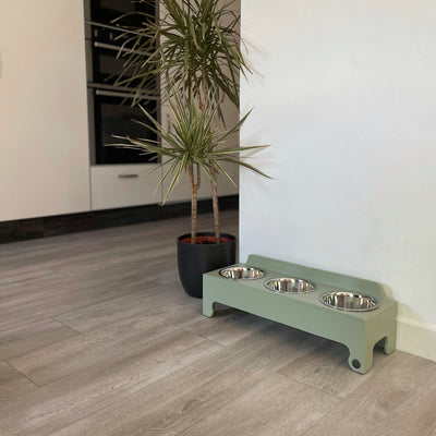 Medium sized raised dog feeder, triple-bowl design, soft green.