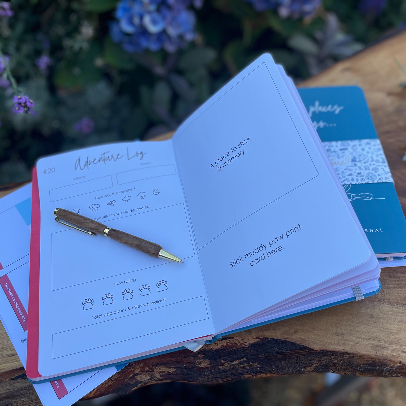 The adventure log: inside the dog adventure journal