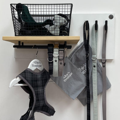 Medium double-rail dog lead station with pine shelf.