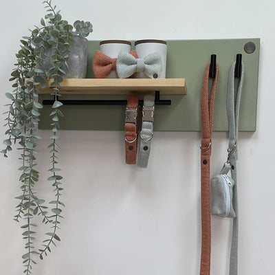 Small soft green lead station shown with pet accessories.
