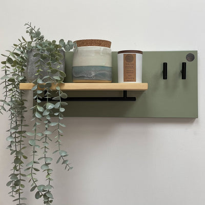 Soft green lead station for pet accessory storage.