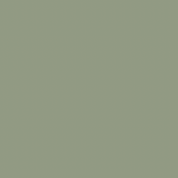 Soft green colour swatch.