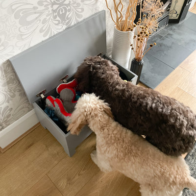 Large Dog Toy Box