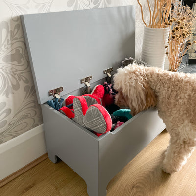 Large Dog Toy Box