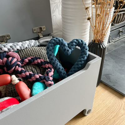 Large Dog Toy Box