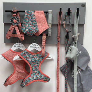 Albie's Boutique large double-rail dog lead station with hanging dog walking accessories.